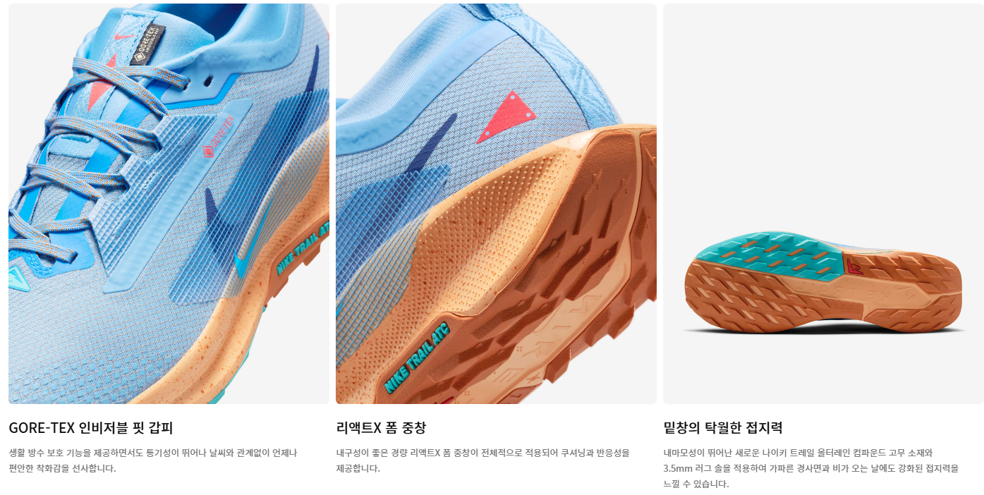 나이키 페가수스 트레일 5 스펙 3분할 (GORE-TEX·리액트X·밑창)