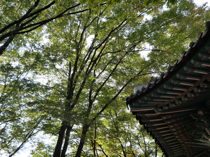 말티재 마라톤 후 속리산 법주사·정이품송 여행 코스