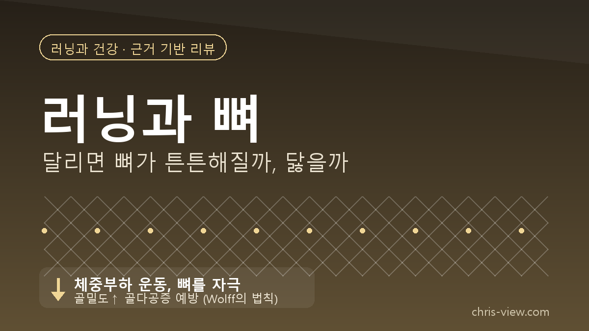 러닝과 뼈 — 달리면 뼈가 튼튼해질까, 닳을까