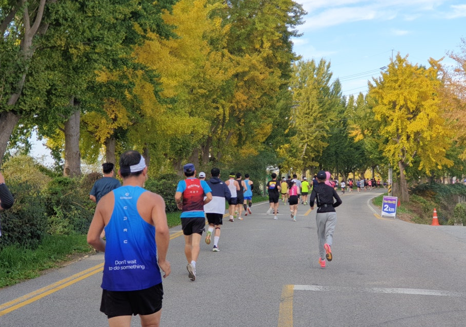 아산 은행나무길 마라톤 2km 지점 은행나무 가로수길을 달리는 참가자들