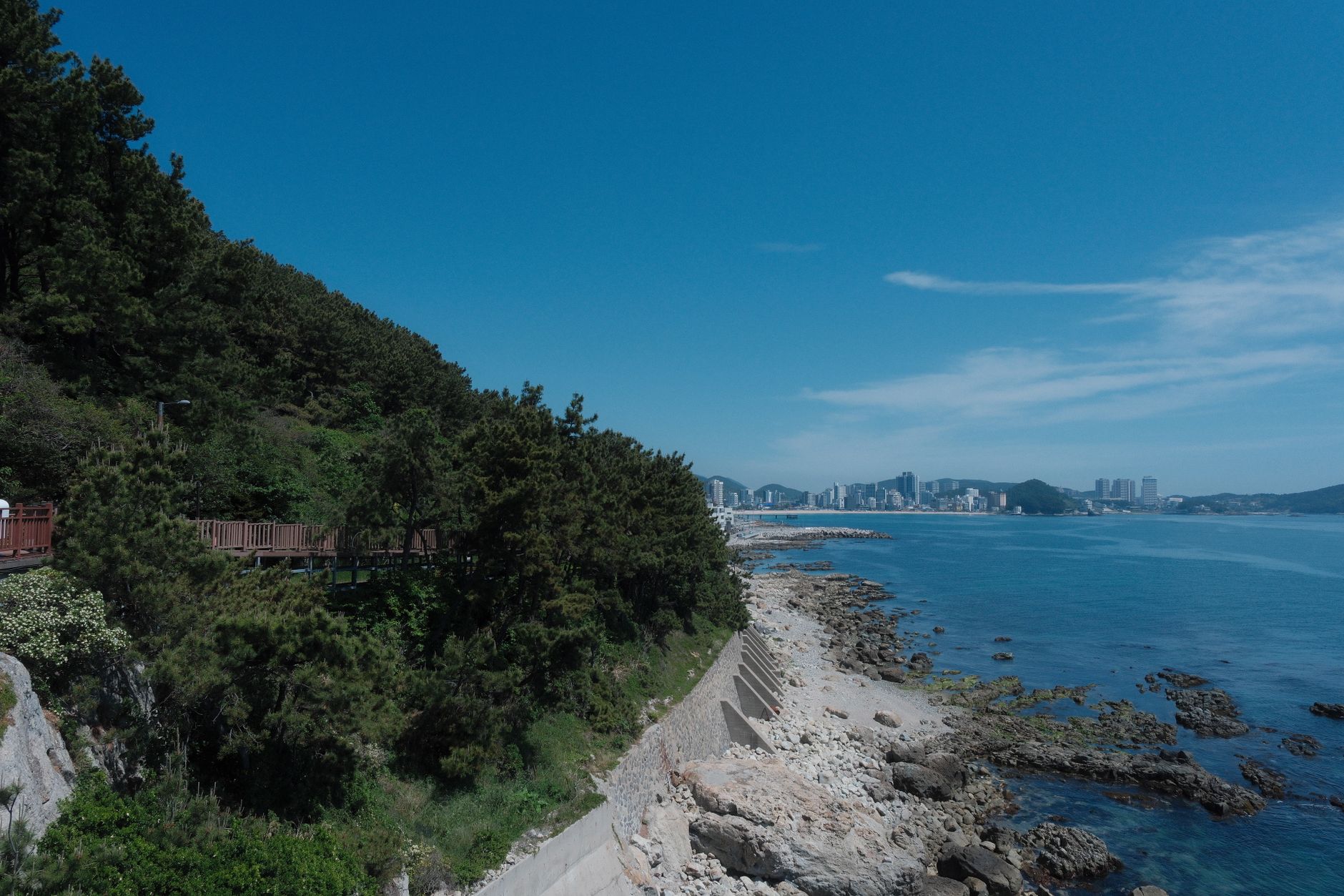 부산 해안 산책로와 바다 풍경