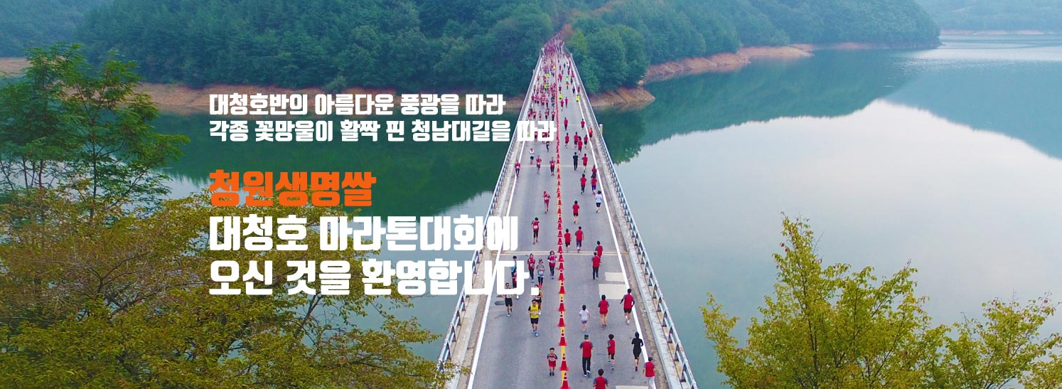 대청호마라톤 참가자들이 대청호 위 다리를 달리는 모습