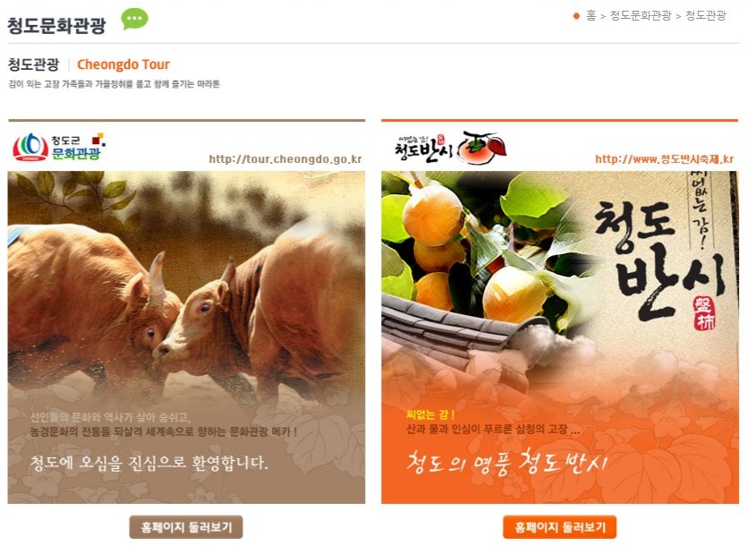 청도 소싸움과 청도반시를 소개하는 대회 공식 홈페이지 청도문화관광 화면