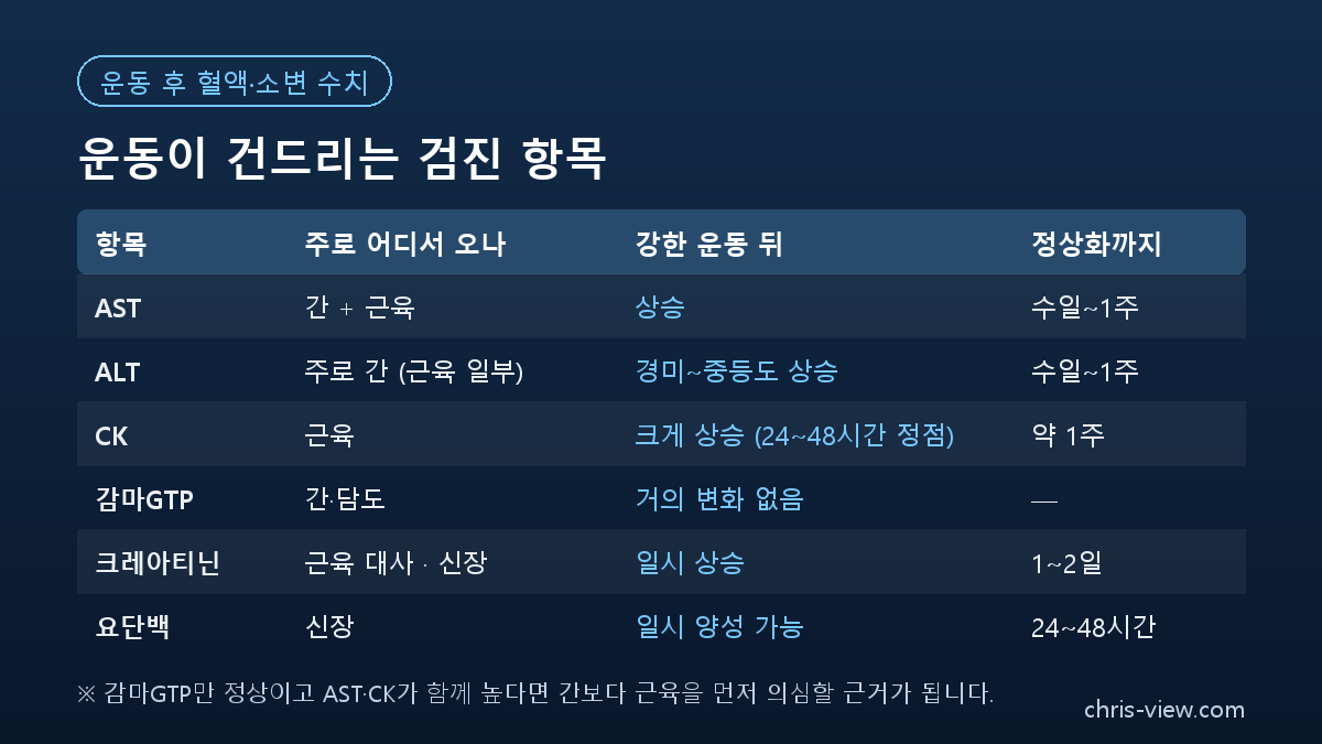 건강검진 전 운동이 영향을 주는 검진 항목 표