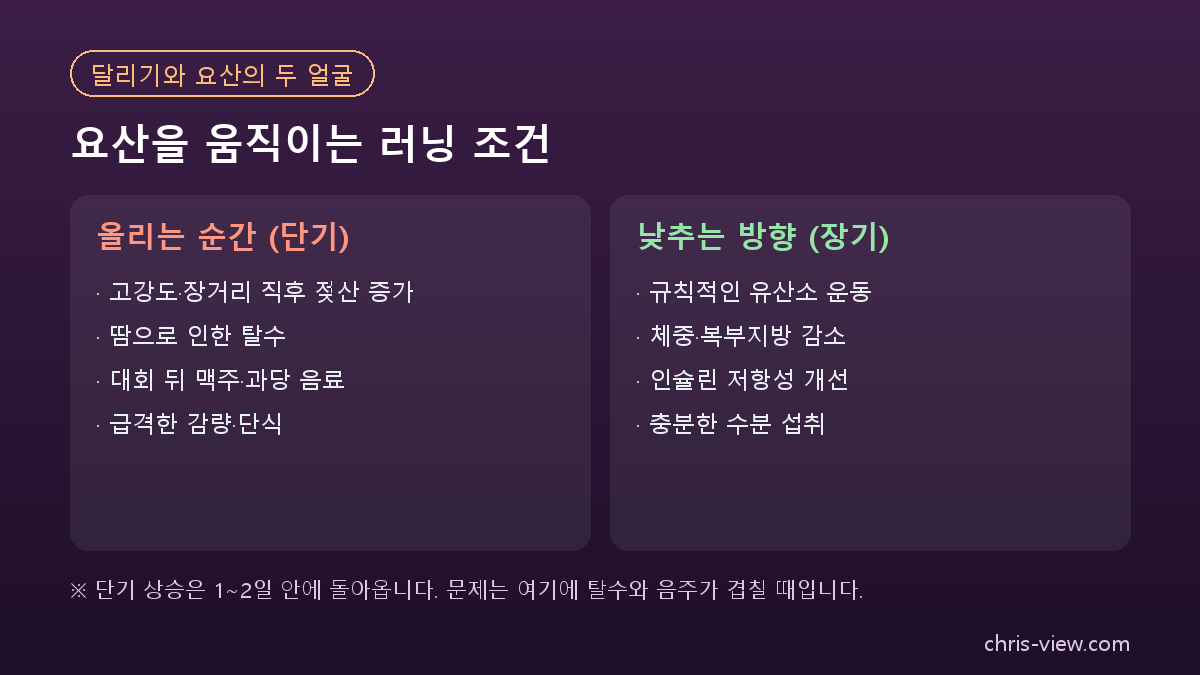 러닝과 요산을 올리는 조건과 낮추는 조건